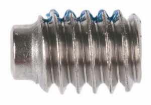 FOX Fastener StandartScrew#8-32x0.250TLG 303 SS Socket Set HalfDog Point Nylok Patch